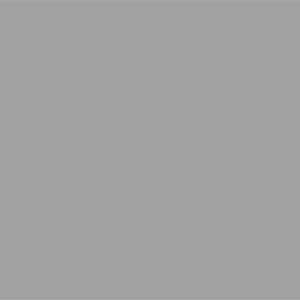 Silver 9006